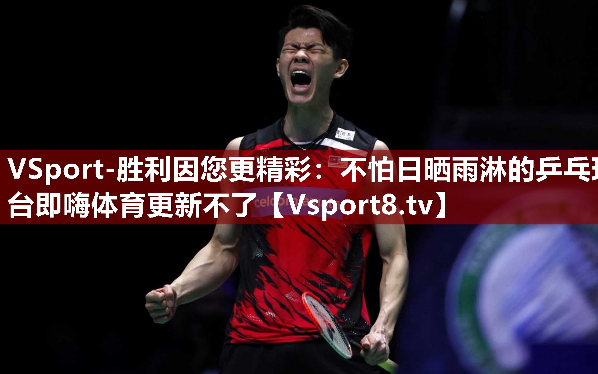 VSport-胜利因您更精彩：不怕日晒雨淋的乒乓球台即嗨体育更新不了
