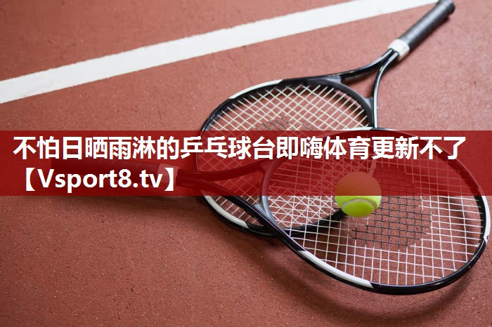 不怕日晒雨淋的乒乓球台即嗨体育更新不了