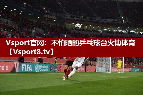 Vsport官网：不怕晒的乒乓球台火博体育