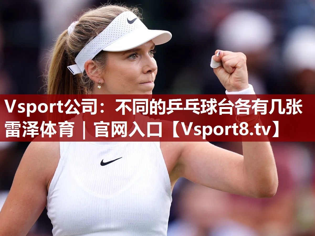 Vsport公司：不同的乒乓球台各有几张雷泽体育｜官网入口