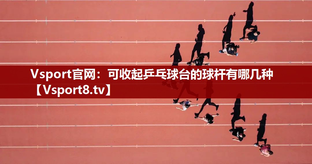 Vsport官网：可收起乒乓球台的球杆有哪几种