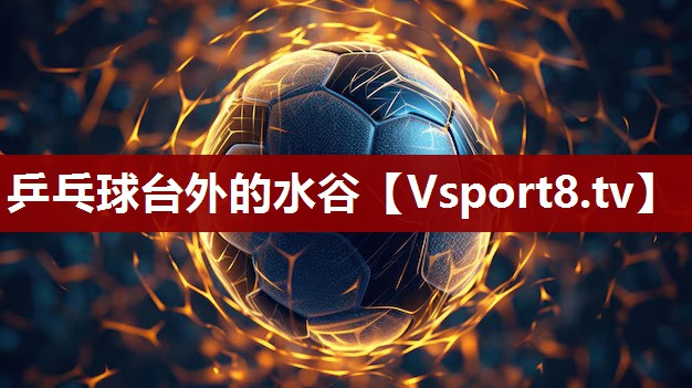 乒乓球台外的水谷