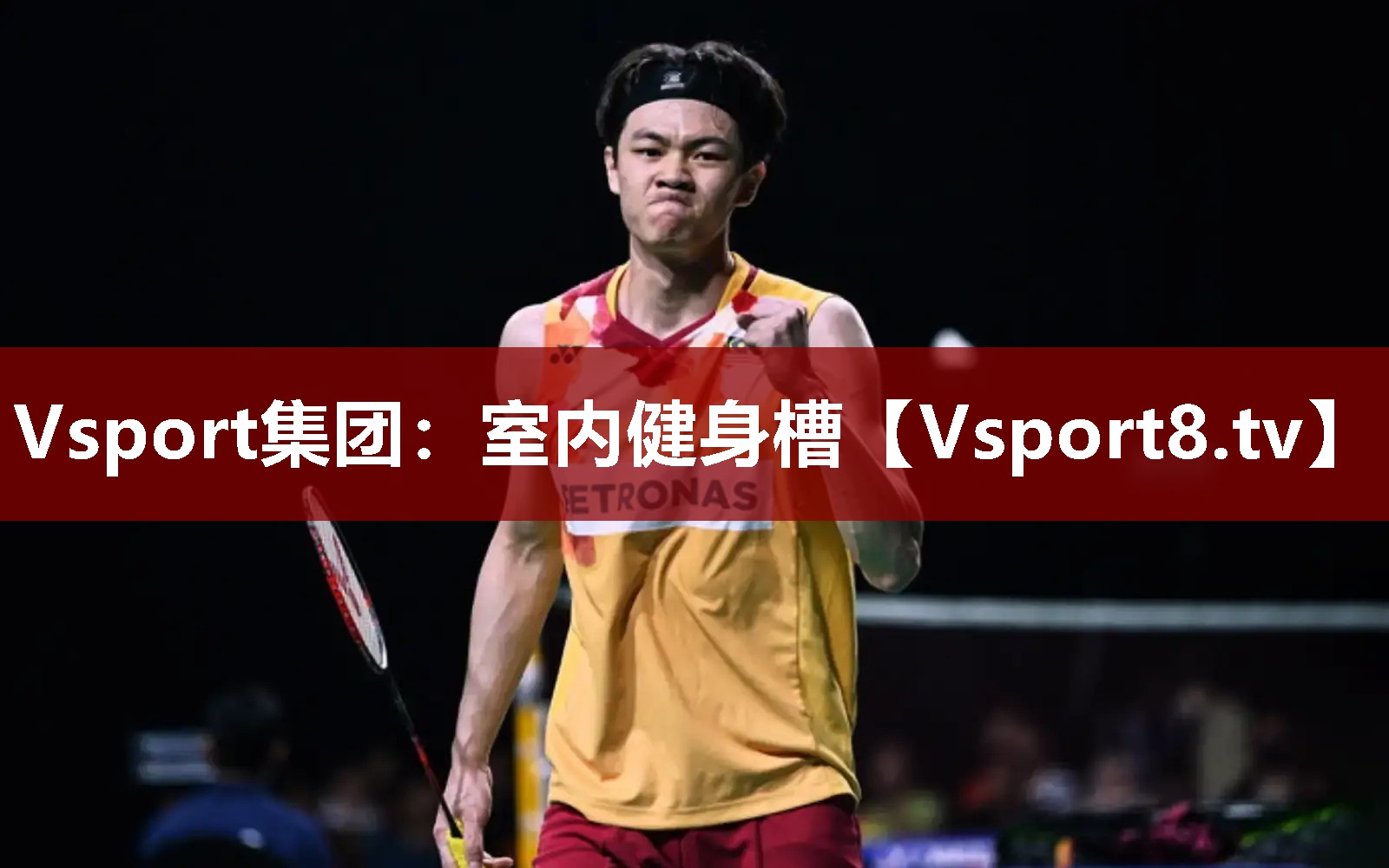 Vsport集团：室内健身槽
