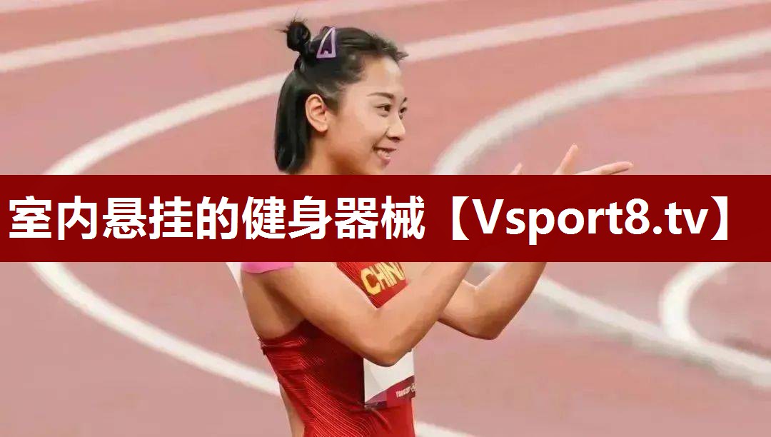 室内悬挂的健身器械