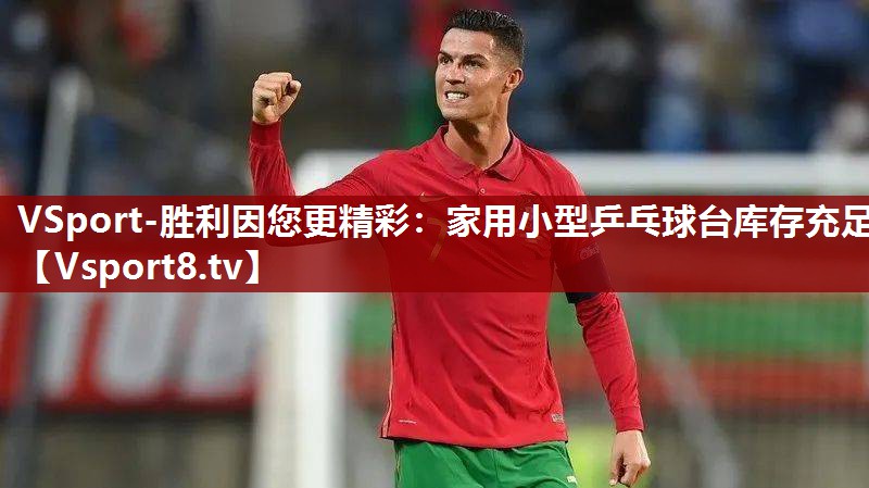 VSport-胜利因您更精彩：家用小型乒乓球台库存充足