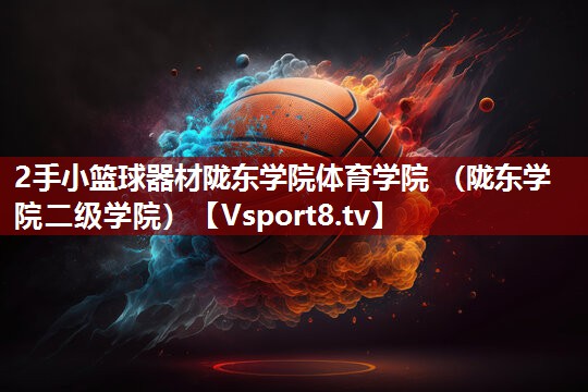 2手小篮球器材陇东学院体育学院 （陇东学院二级学院）