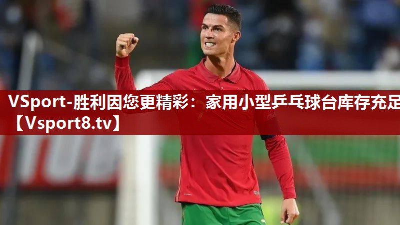家用小型乒乓球台库存充足